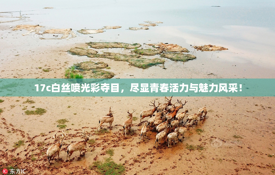 17c白丝喷光彩夺目，尽显青春活力与魅力风采！
