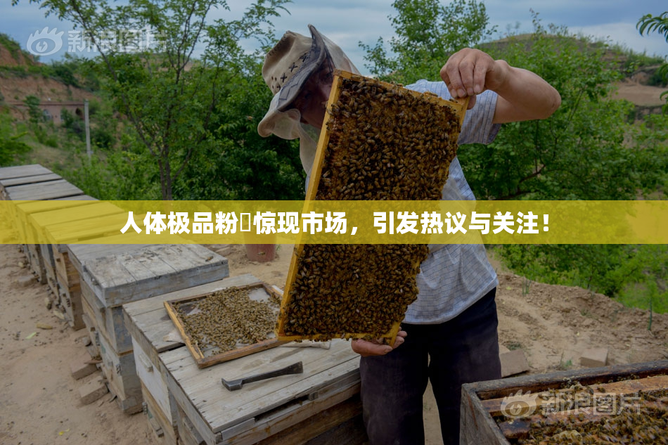 人体极品粉鮑惊现市场，引发热议与关注！