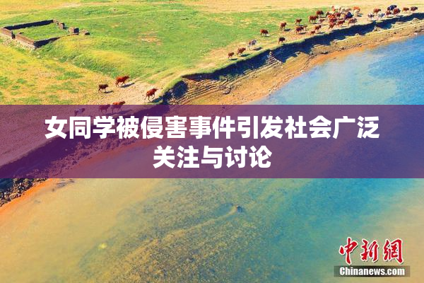 女同学被侵害事件引发社会广泛关注与讨论