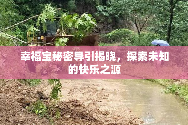 幸福宝秘密导引揭晓，探索未知的快乐之源