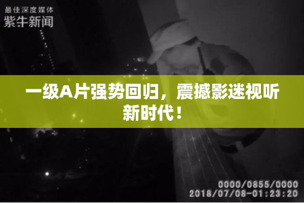 一级A片强势回归，震撼影迷视听新时代！