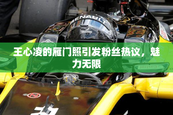 王心凌的雁门照引发粉丝热议，魅力无限
