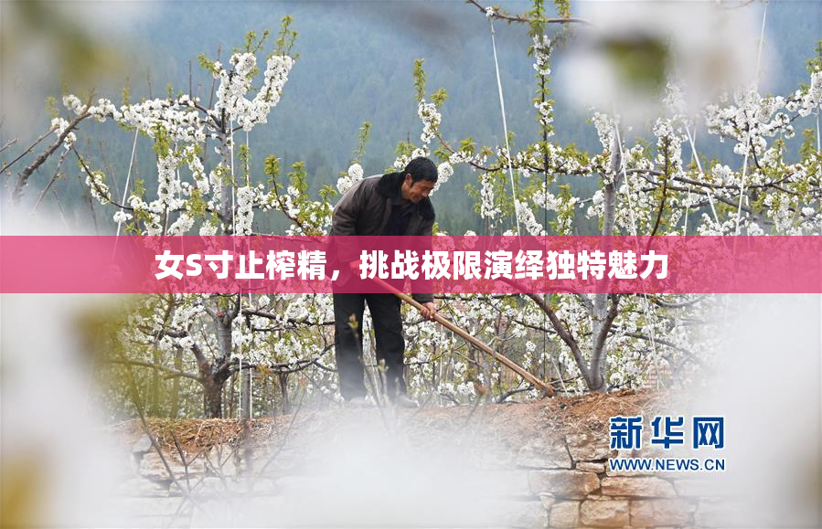 女S寸止榨精，挑战极限演绎独特魅力