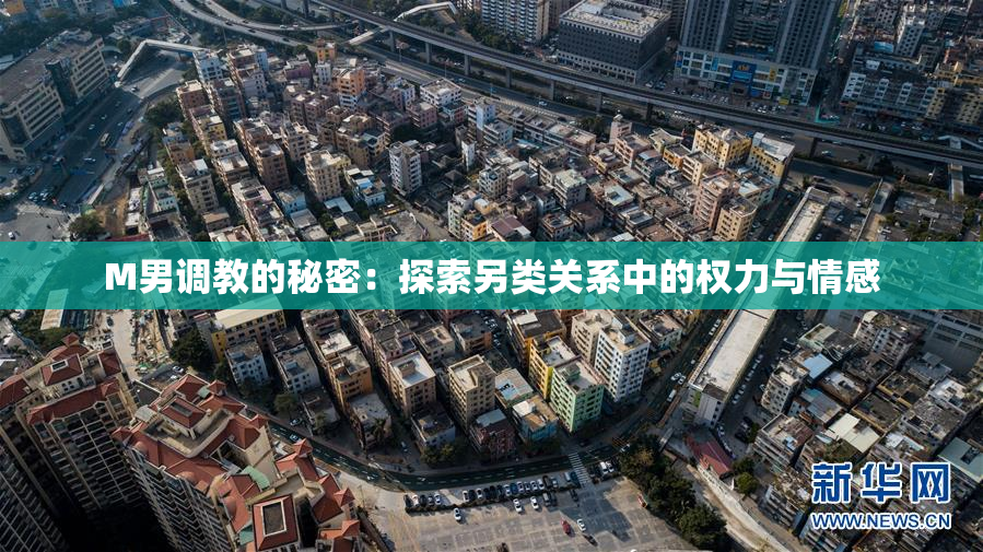 M男调教的秘密：探索另类关系中的权力与情感