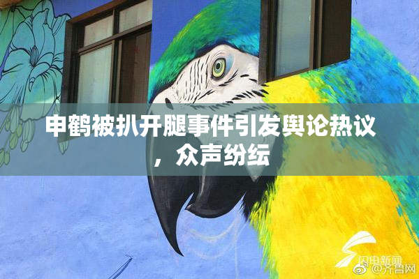 申鹤被扒开腿事件引发舆论热议，众声纷纭