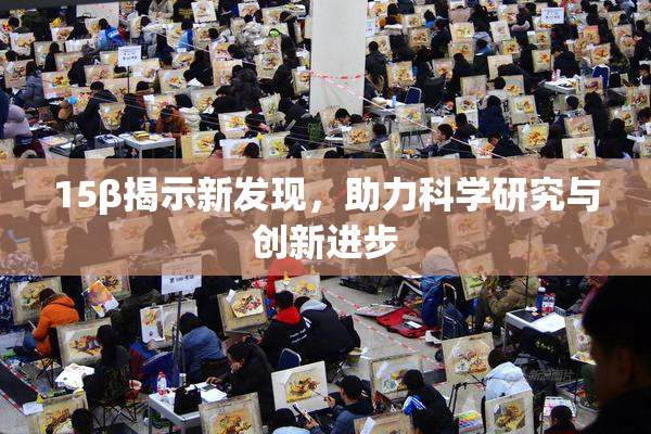 15β揭示新发现，助力科学研究与创新进步