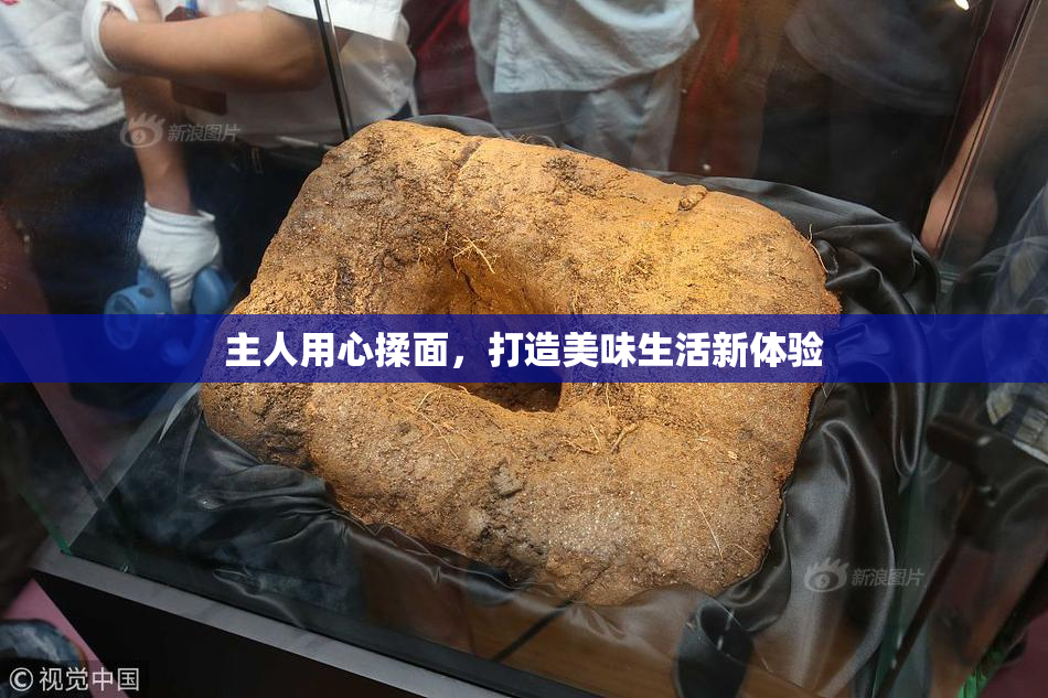 主人用心揉面，打造美味生活新体验