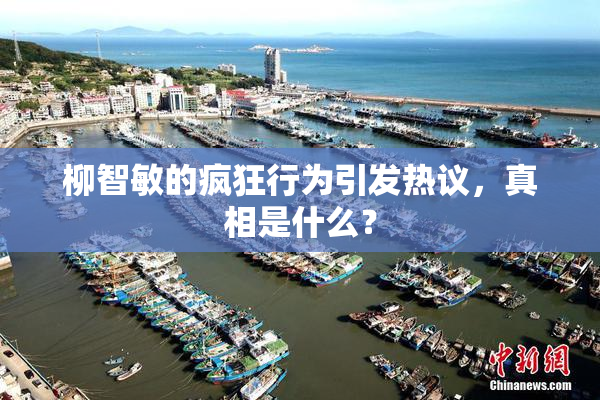 柳智敏的疯狂行为引发热议，真相是什么？