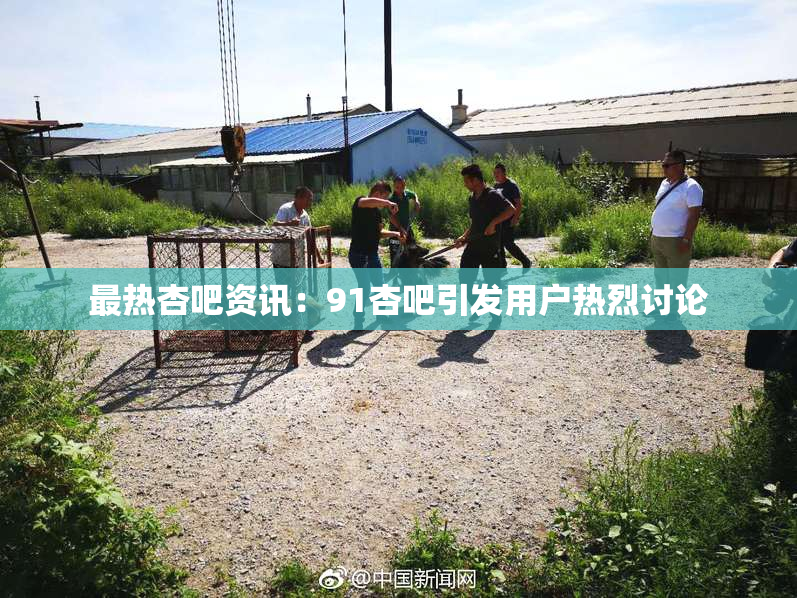 最热杏吧资讯：91杏吧引发用户热烈讨论