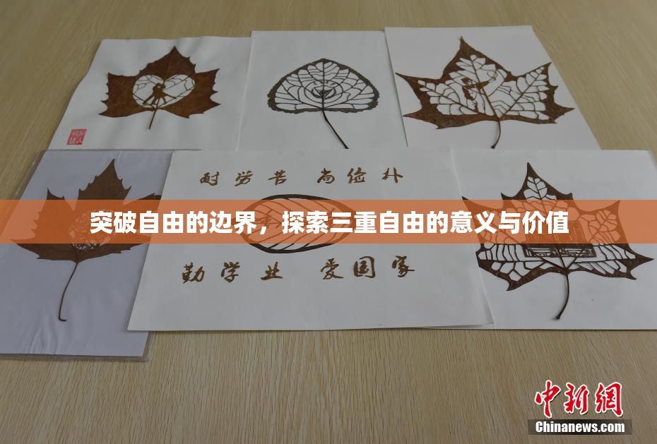 突破自由的边界，探索三重自由的意义与价值