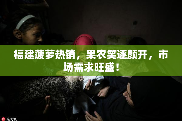 福建菠萝热销，果农笑逐颜开，市场需求旺盛！
