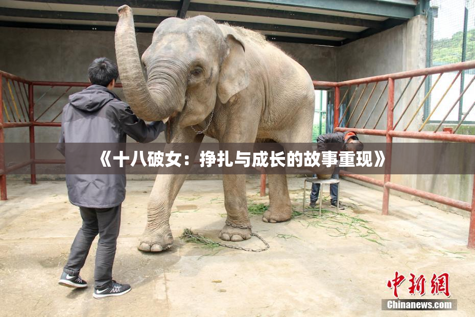 《十八破女：挣扎与成长的故事重现》
