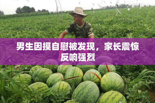 男生因摸自慰被发现，家长震惊反响强烈