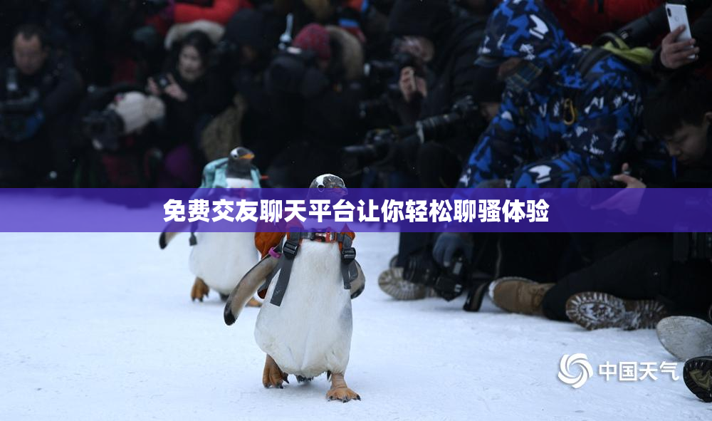免费交友聊天平台让你轻松聊骚体验
