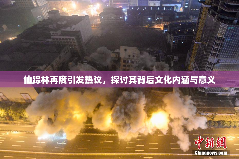 仙踪林再度引发热议，探讨其背后文化内涵与意义