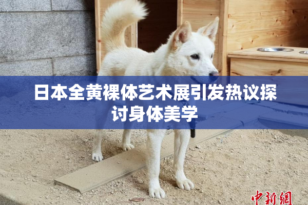 日本全黄裸体艺术展引发热议探讨身体美学