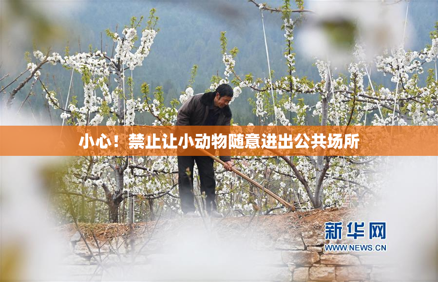 小心！禁止让小动物随意进出公共场所