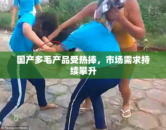 国产多毛产品受热捧，市场需求持续攀升