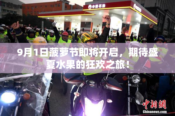 9月1日菠萝节即将开启，期待盛夏水果的狂欢之旅！