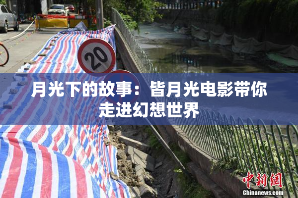 月光下的故事：皆月光电影带你走进幻想世界