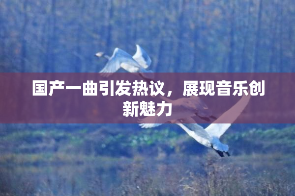 国产一曲引发热议，展现音乐创新魅力
