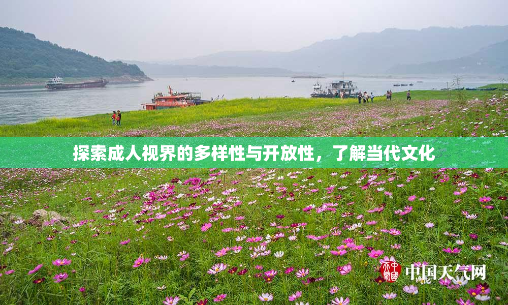 探索成人视界的多样性与开放性，了解当代文化