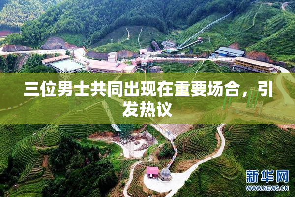 三位男士共同出现在重要场合，引发热议
