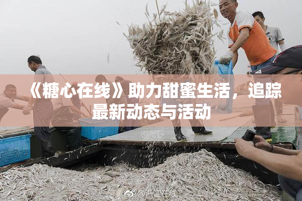 《糖心在线》助力甜蜜生活，追踪最新动态与活动