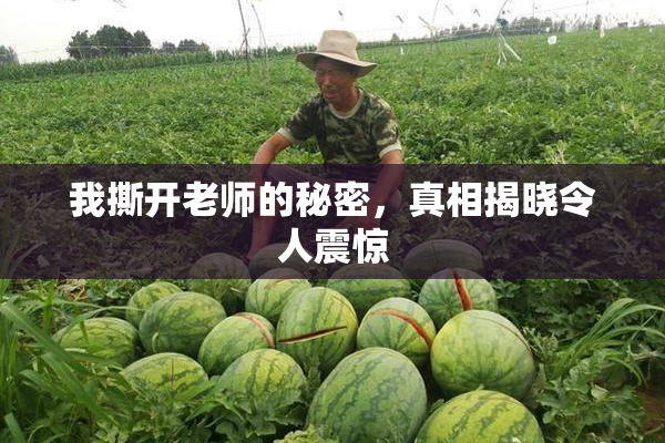 我撕开老师的秘密，真相揭晓令人震惊
