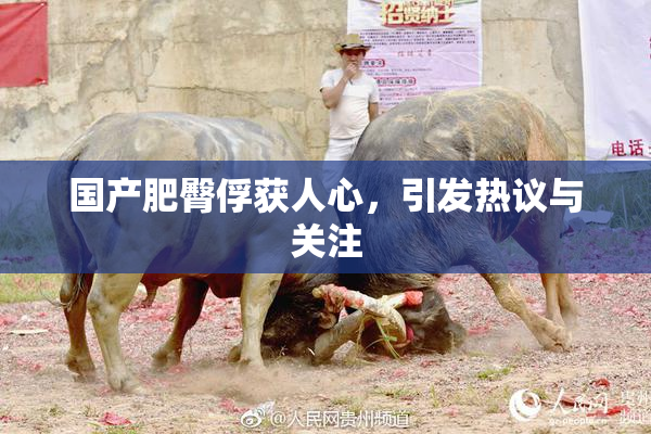 国产肥臀俘获人心，引发热议与关注
