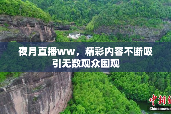 夜月直播ww，精彩内容不断吸引无数观众围观