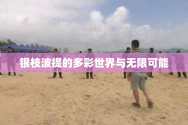 银枝波提的多彩世界与无限可能