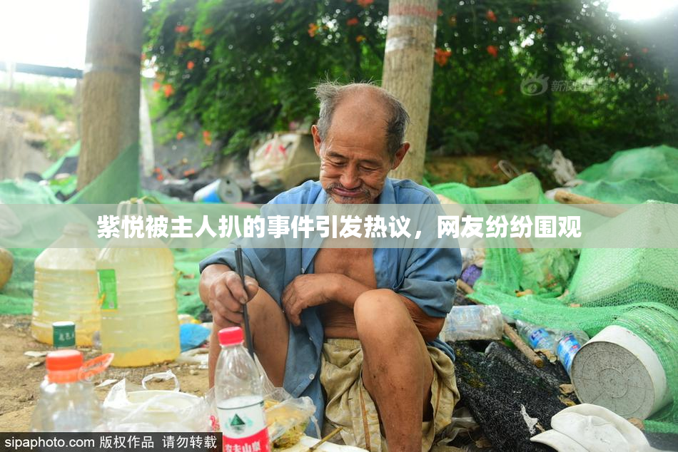 紫悦被主人扒的事件引发热议，网友纷纷围观