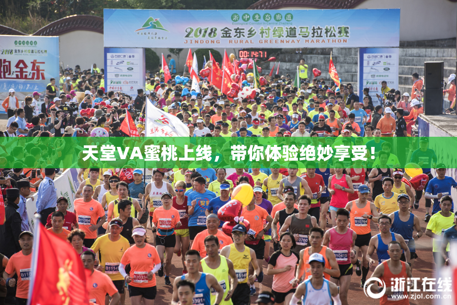 天堂VA蜜桃上线，带你体验绝妙享受！
