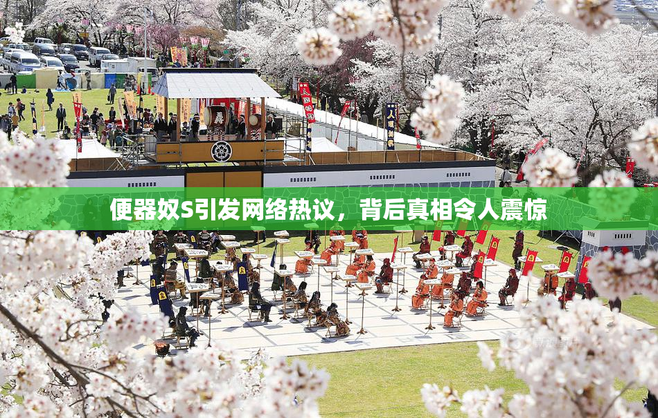 便器奴S引发网络热议，背后真相令人震惊