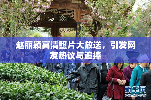 赵丽颖高清照片大放送，引发网友热议与追捧