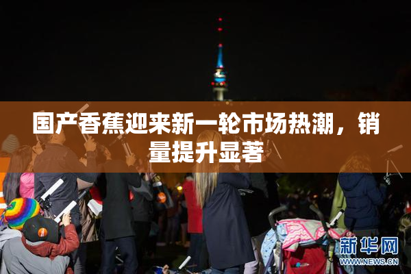 国产香蕉迎来新一轮市场热潮，销量提升显著