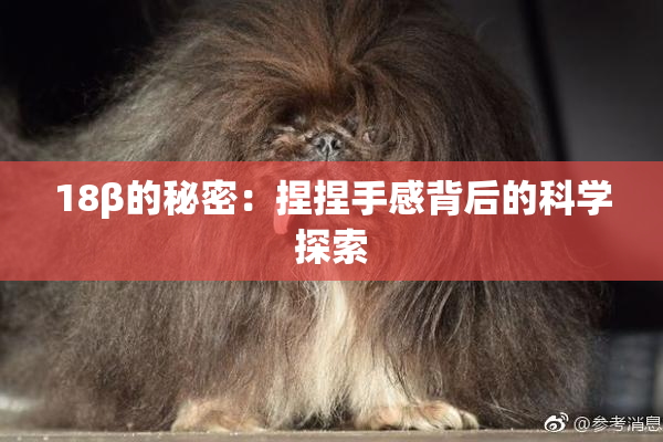 18β的秘密：捏捏手感背后的科学探索