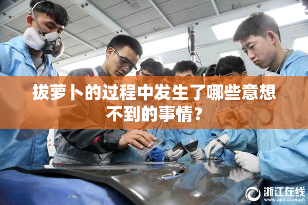 拔萝卜的过程中发生了哪些意想不到的事情？