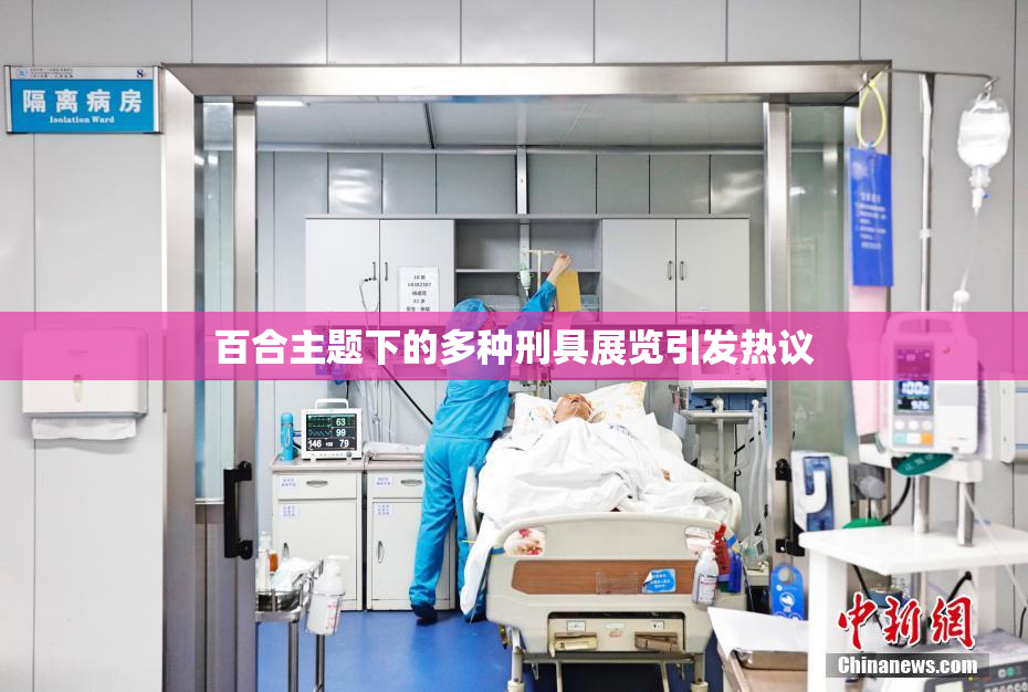 百合主题下的多种刑具展览引发热议