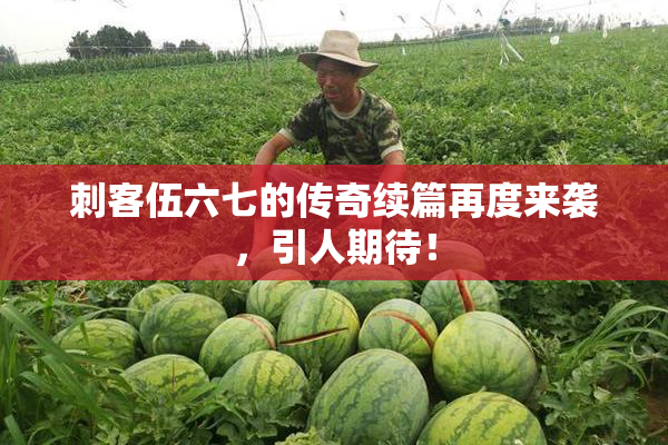 刺客伍六七的传奇续篇再度来袭，引人期待！