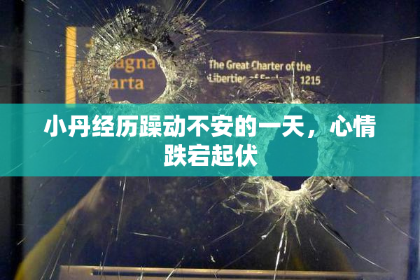 小丹经历躁动不安的一天，心情跌宕起伏