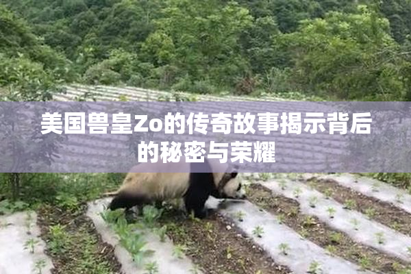 美国兽皇Zo的传奇故事揭示背后的秘密与荣耀