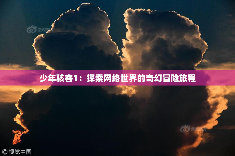 少年骇客1：探索网络世界的奇幻冒险旅程