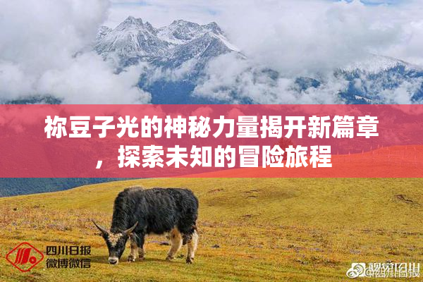 祢豆子光的神秘力量揭开新篇章，探索未知的冒险旅程