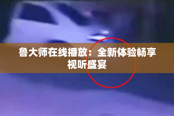 鲁大师在线播放：全新体验畅享视听盛宴