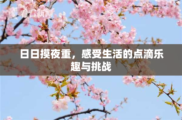 日日摸夜重，感受生活的点滴乐趣与挑战