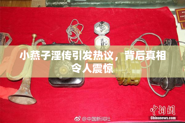 小燕子淫传引发热议，背后真相令人震惊