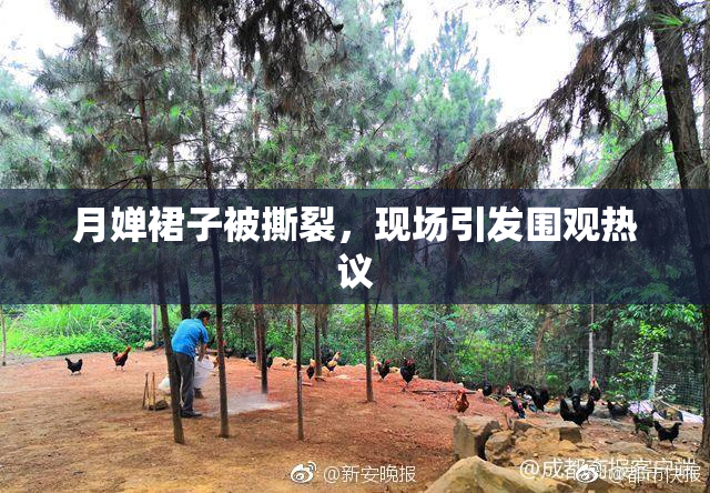 月婵裙子被撕裂，现场引发围观热议