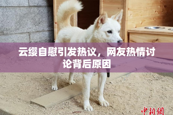 云缨自慰引发热议，网友热情讨论背后原因